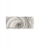 Tourbillon
