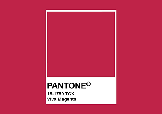 Viva Magenta Couleur Pantone 2023