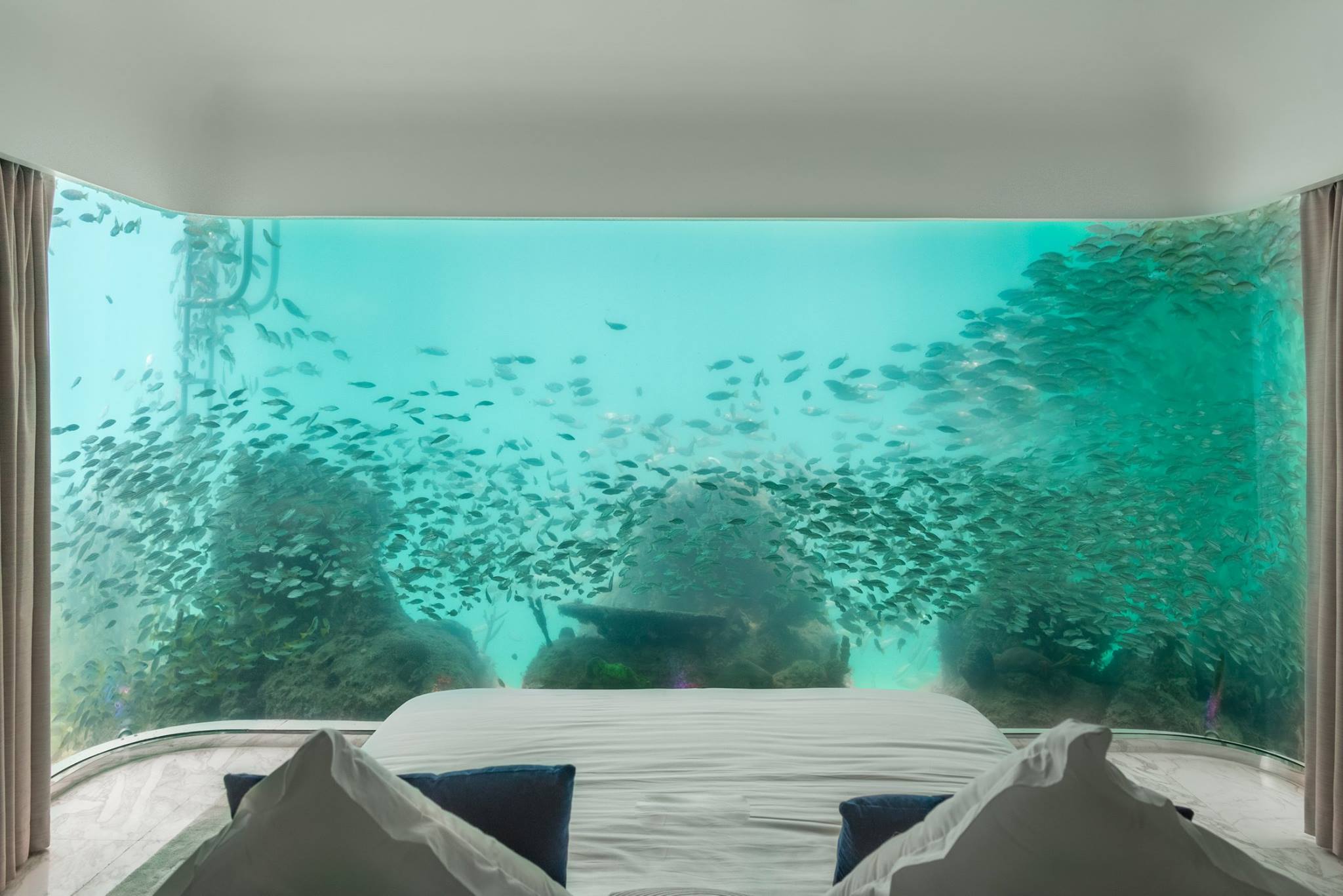 chambre-aquarium-floating-seahorse