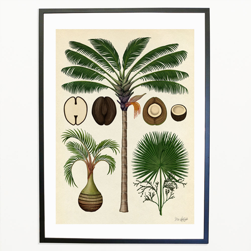 katie-scott-illustration-palms-jungle