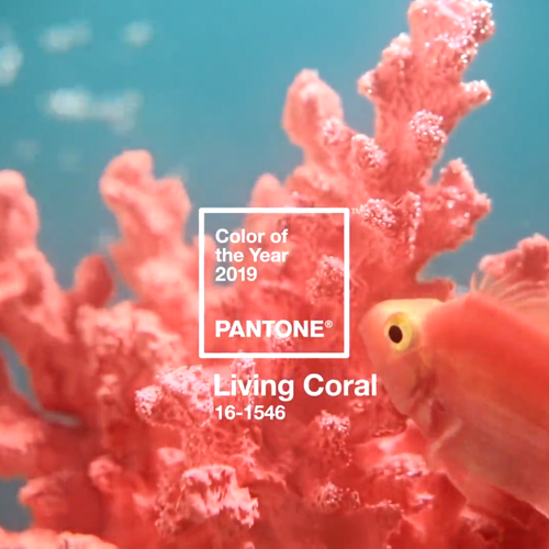 couleur-pantone-2019-living-coral-deco