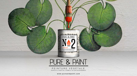 pure & paint peinture