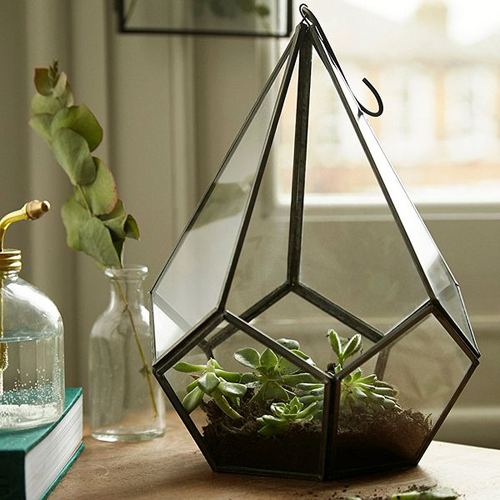 terrarium-suspendu-zen-urban-oufitters-deco