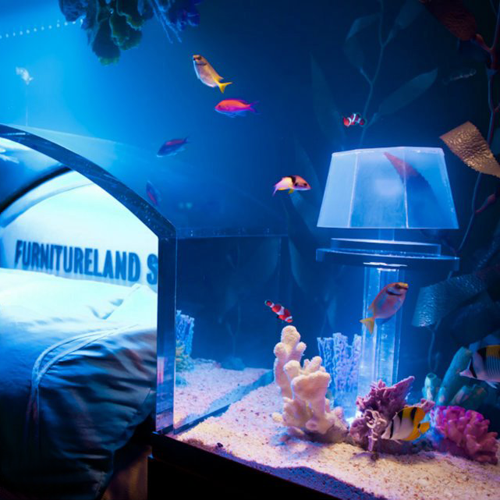 tete-de-lit-insolite-aquarium